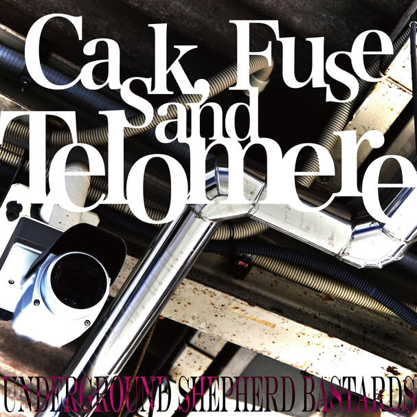 Cask, Fuse and Telomere - Underground Shephered Bastards