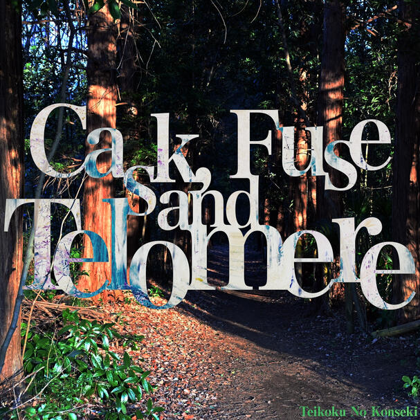 Cask, Fuse and Telomere - Teikoku No Konseki